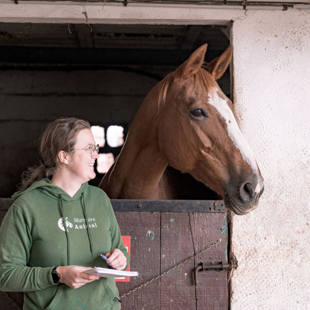 Audrey de Murmure Animal se tiens devant un cheval alezan au box