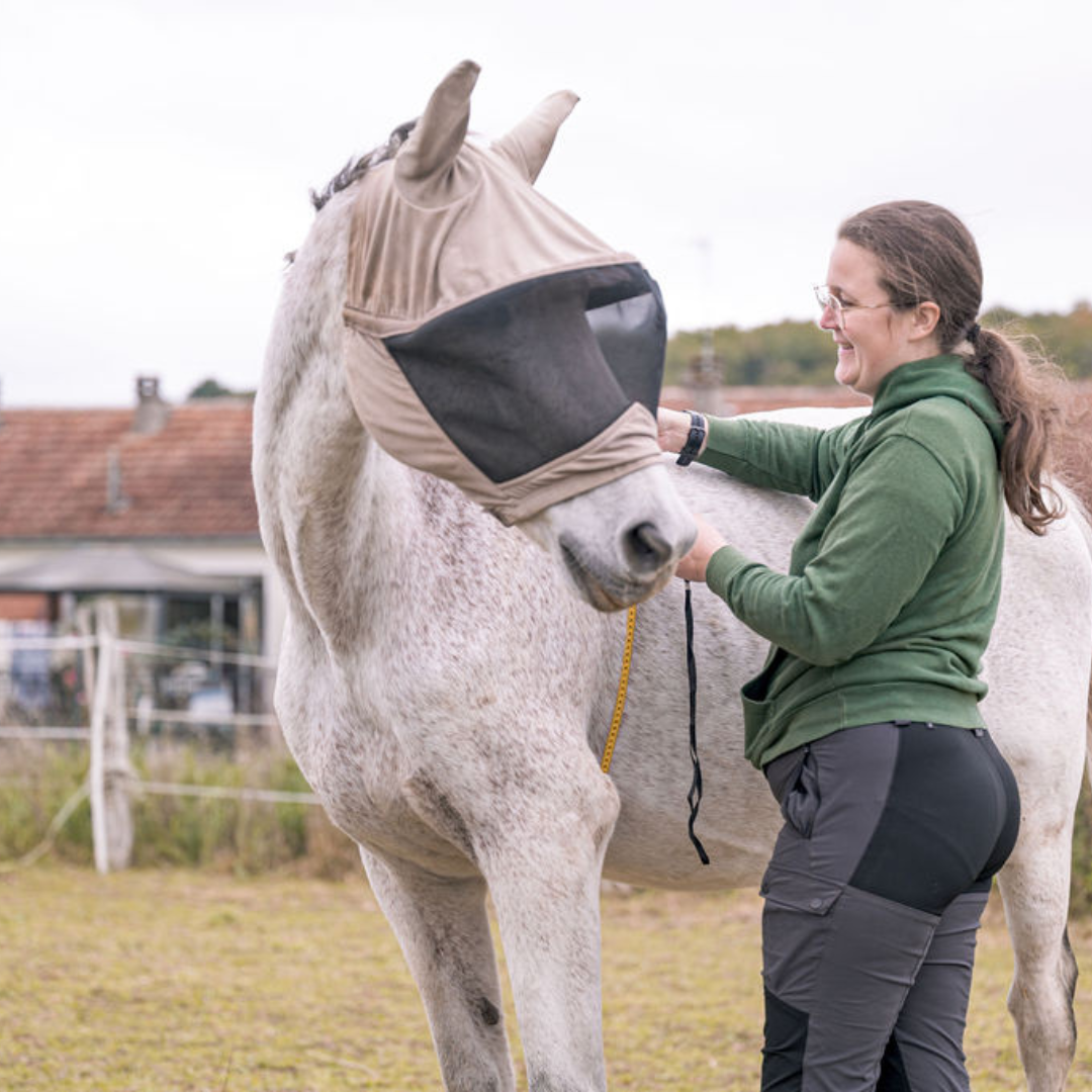 Audrey de Murmure Animal mesure le perimètre thoracique d'un cheval gris