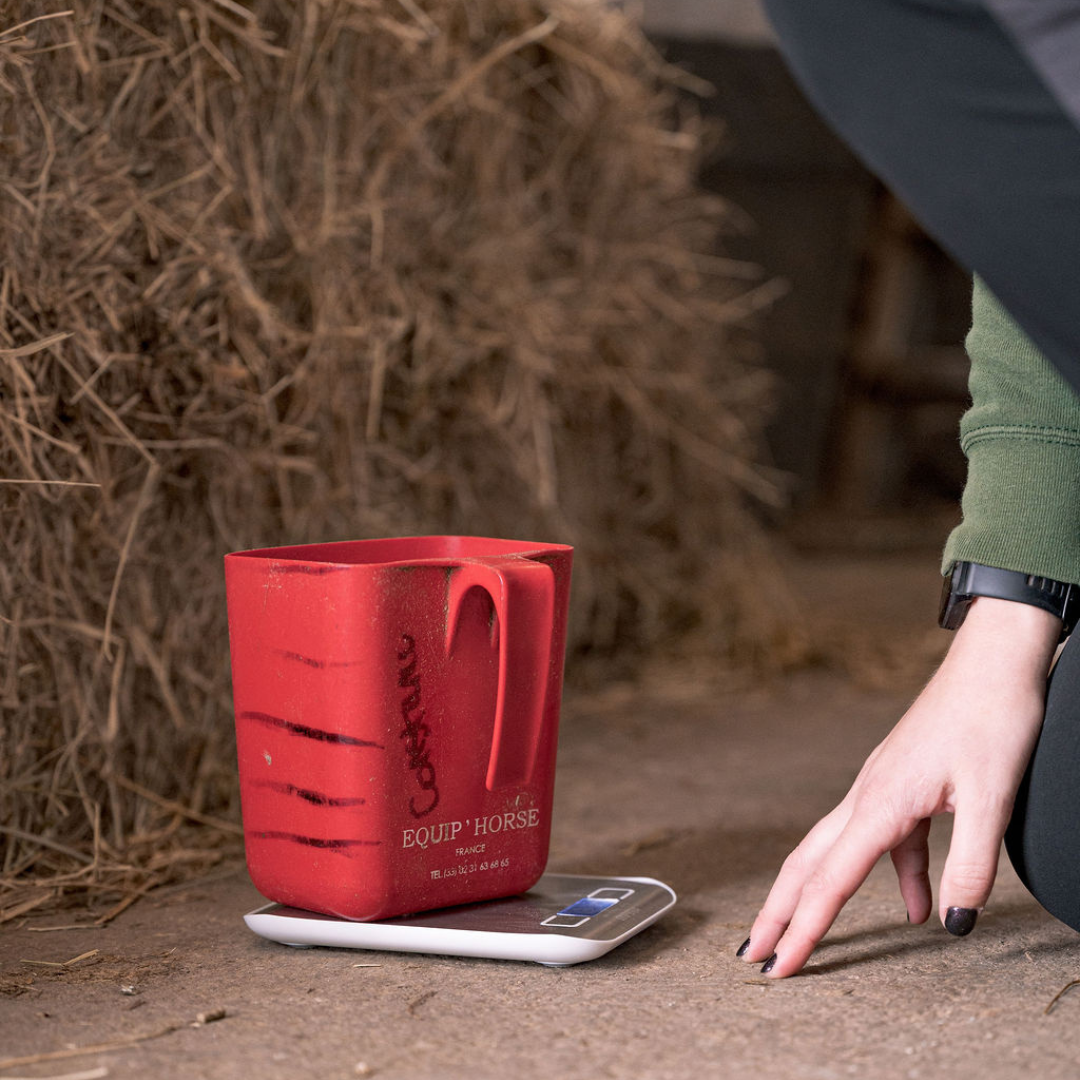 Une mesure de grain est pesée sur une balance