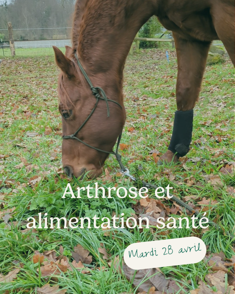 Arthrose et alimentation santé