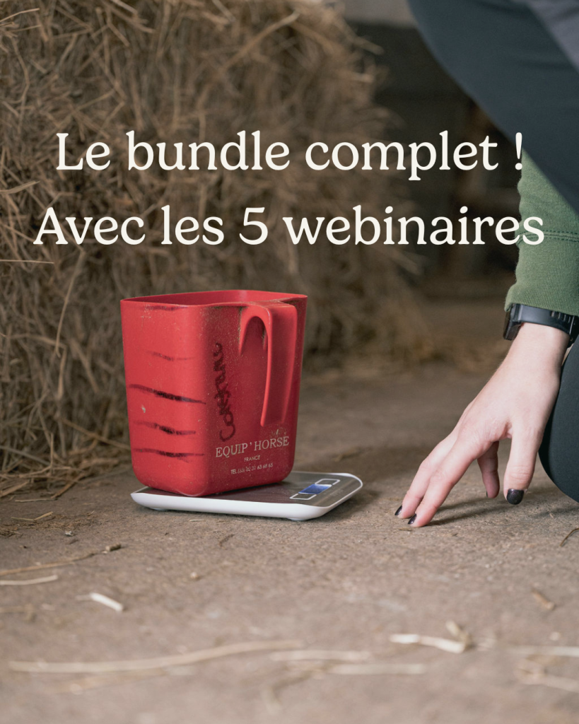 Bundle de webinaires
