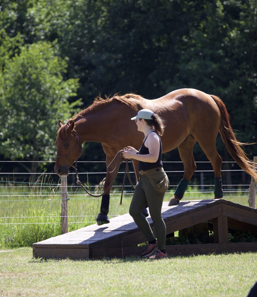 Uisper et Audrey de Murmure Animal en mountain trail