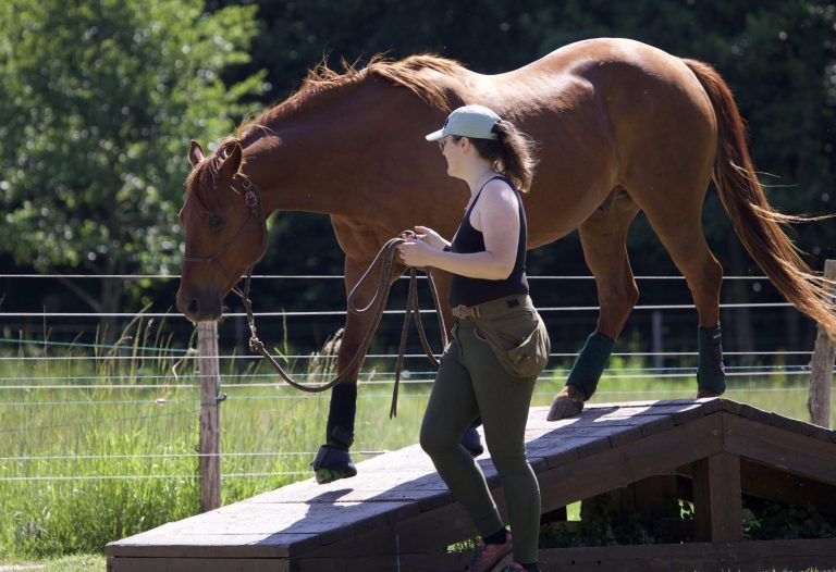 Uisper et Audrey de Murmure Animal en mountain trail