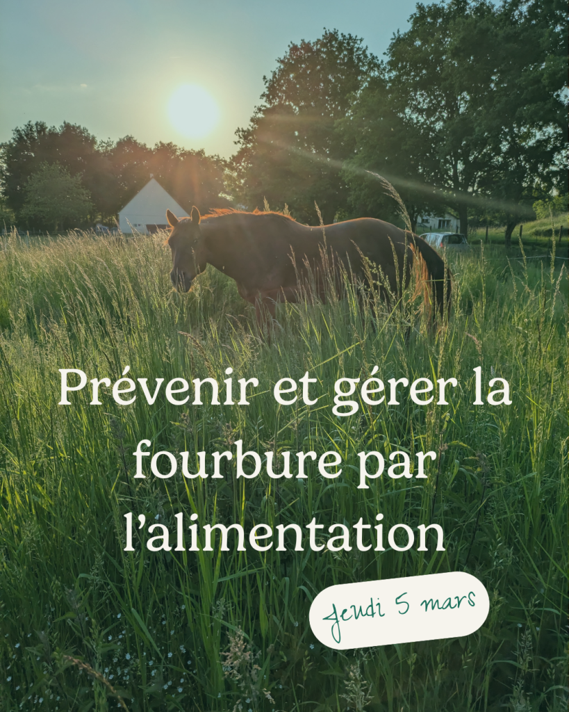 Prévenir et gérer la fourbure