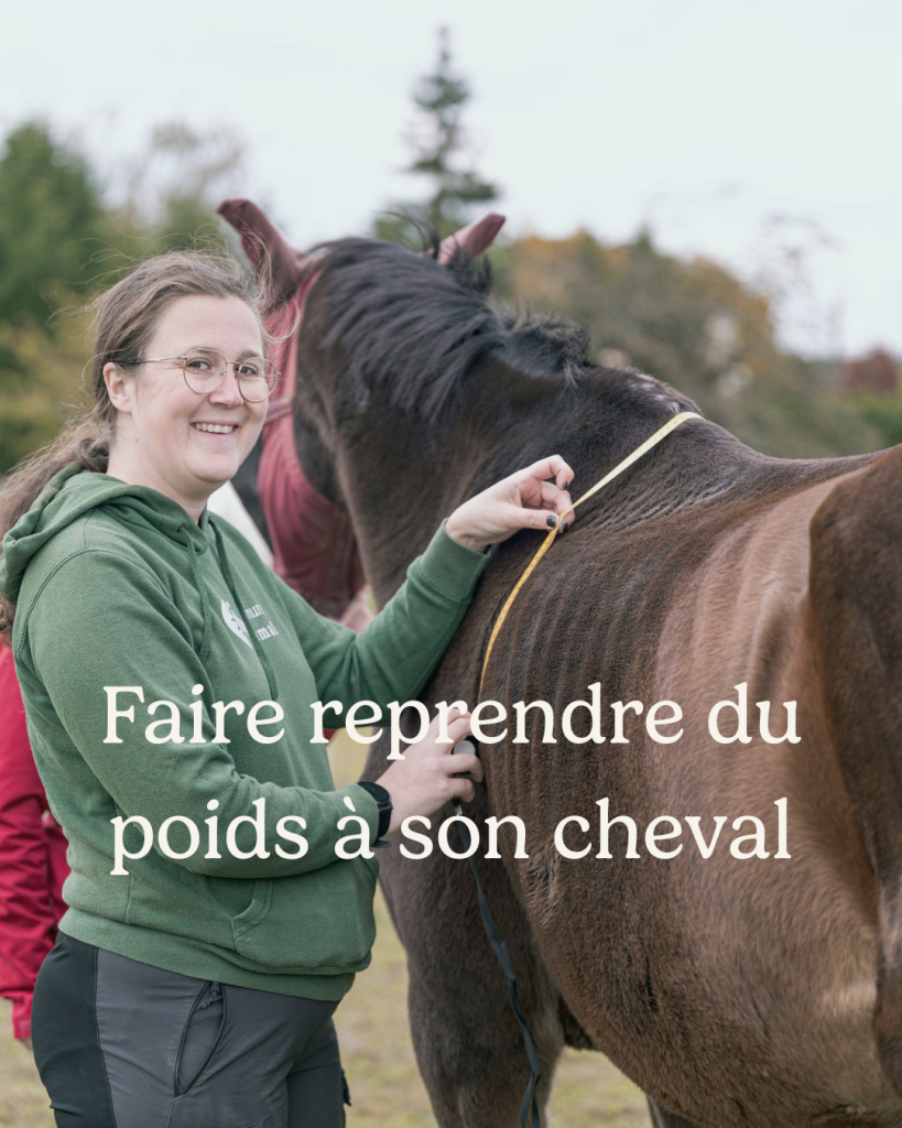 Faire reprendre du poids à son cheval le webinaire