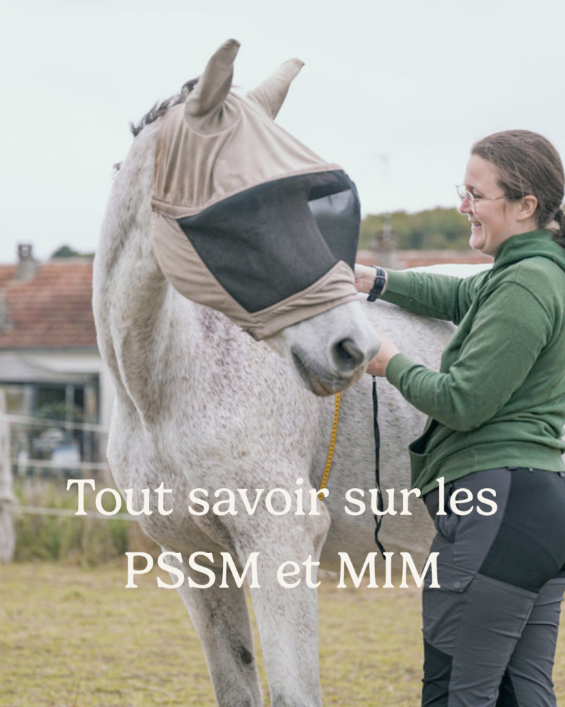 Tout savoir sur les PSSM et MIM webinaire
