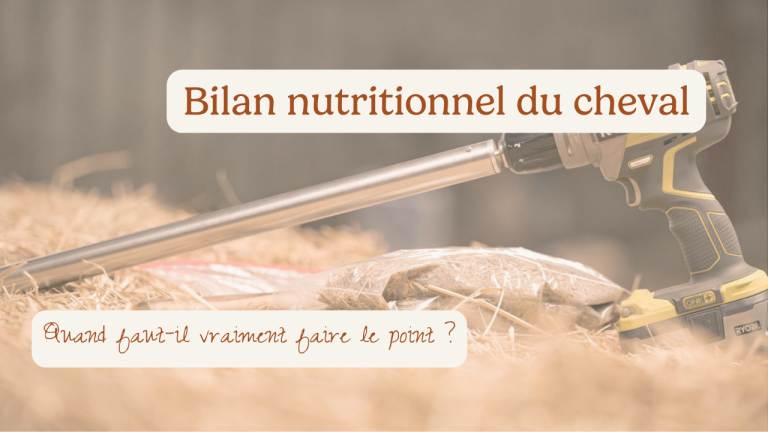 Bilan nutritionnel cheval, quand faut-il faire le point ?