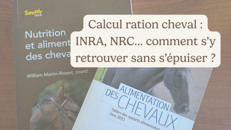 Calcul ration cheval : INRA, NRC… comment s’y retrouver sans s’épuiser ?