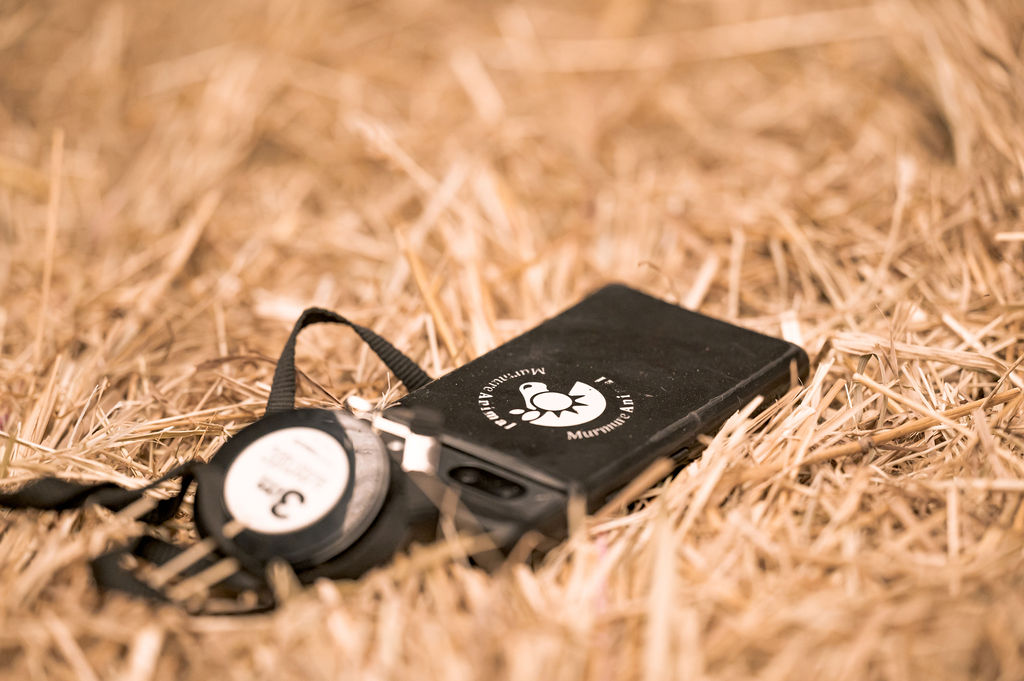 Les formations en nutrition équine mêlent pratique et numérique