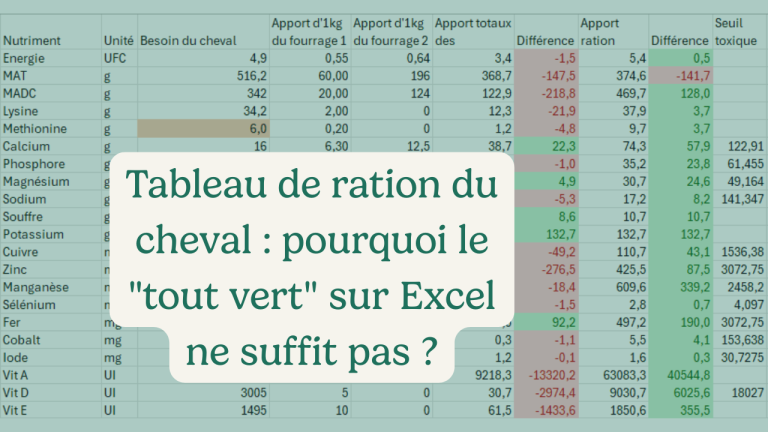 Tableau de ration du cheval : pourquoi le "tout vert" sur Excel ne suffit pas ?