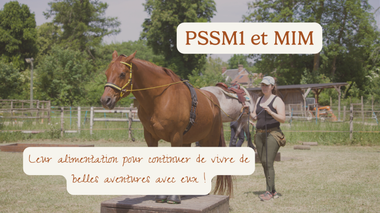 Alimentation cheval PSSM1 et MIM