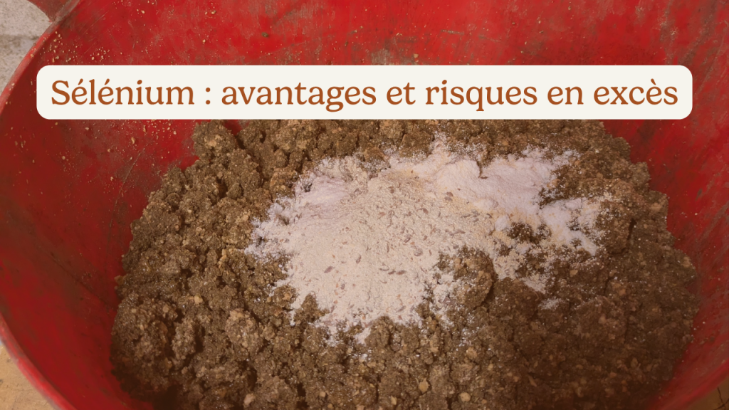 Sélénium cheval