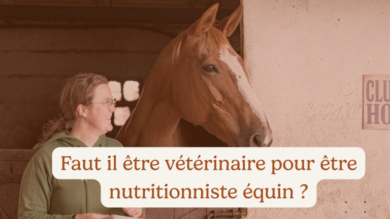 Faut il être vétérinaire pour être nutritionniste équin ?