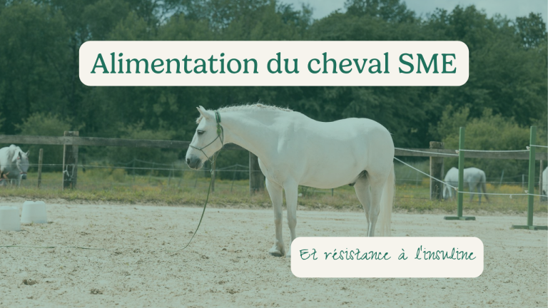 Alimentation du cheval SME et résistant à l'insuline