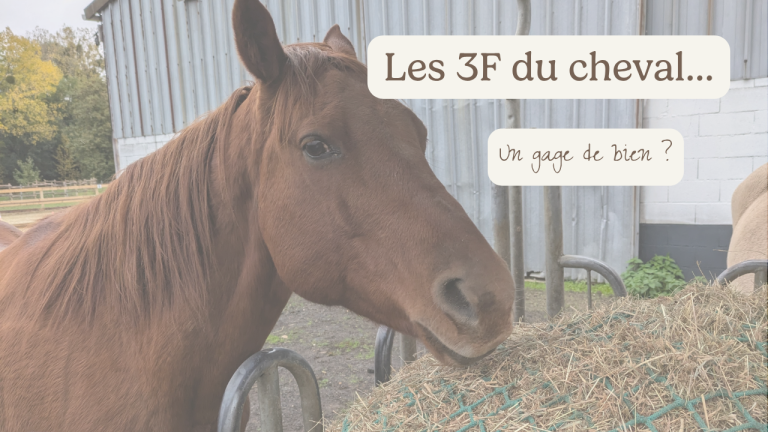 3F cheval