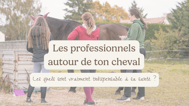 3 professionnelles de santé regarde un cheval